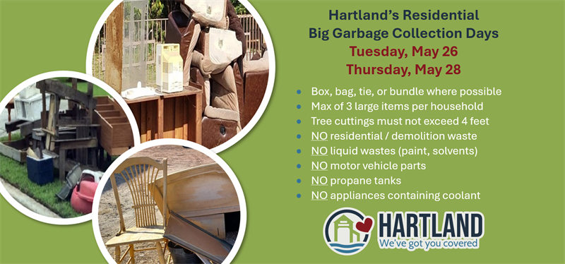 Big_Garbage_Collection(1)