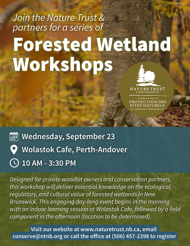 Version_2_-_Forested_Wetland_Workshops_EN_poster_(2)